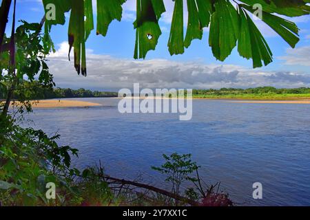 Fiume Tambopata Foto Stock