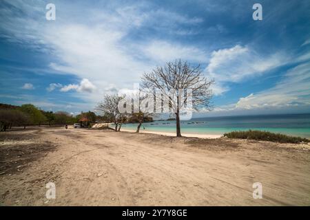 Pink Beach Lombok Indonesia Foto Stock