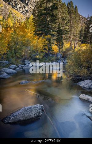 Lunga esposizione che mostra i mutevoli aspens lungo Bishop creek in California Foto Stock