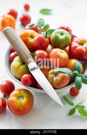 Una varietà di pomodori colorati sono disposti splendidamente in una ciotola, accompagnati da erbe fresche, con un coltello posizionato nelle vicinanze su una cucina pulita Foto Stock