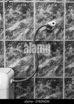 Piastrelle e bagno in marmo Dettagli: WC Tank e Valve Design Foto Stock