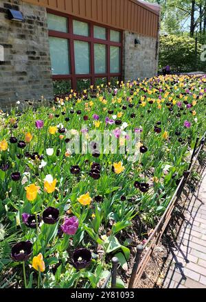 La bellezza della natura si fonde con le storiche case in legno in un parco nel Maryland Foto Stock