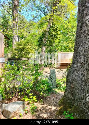 La bellezza della natura si fonde con le storiche case in legno in un parco nel Maryland Foto Stock