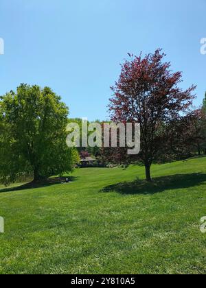 La bellezza della natura si fonde con le storiche case in legno in un parco nel Maryland Foto Stock