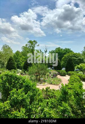 Architettura Marvel e vegetazione lussureggiante che circondano la Cattedrale Nazionale di Washington Foto Stock