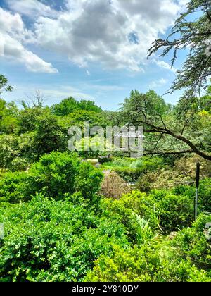 Architettura Marvel e vegetazione lussureggiante che circondano la Cattedrale Nazionale di Washington Foto Stock