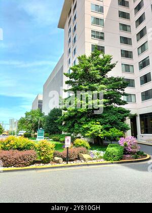 Cattura la bellezza architettonica del centro di Bethesda, Maryland, in una perfetta giornata di sole Foto Stock