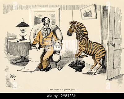 Edward Tennyson Reed - Tails with a Twist - Verse by Belgian Hare - The Zebra's Tail - 1898 Foto Stock