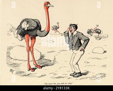 Edward Tennyson Reed - Tails with a Twist - Verse by Belgian Hare - The Ostrich tale - 1898 Foto Stock