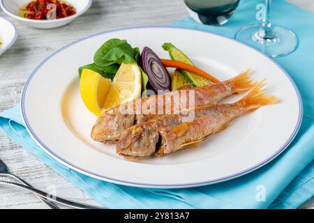 Triglia grigliata con rucola e mini verdure su un piatto di porcellana bianca Foto Stock