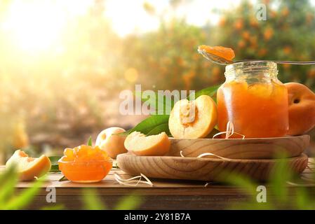 Marmellata di pesca fatta in casa in vasetti di vetro su tavola di legno e sfondo naturale. Vista frontale. Foto Stock