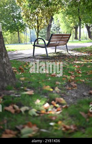 Panca del parco circondata da foglie cadute in una giornata di sole Foto Stock