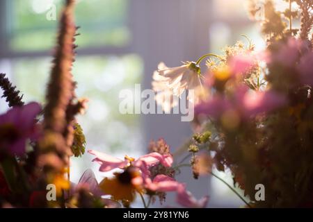 La luce calda del sole filtra attraverso una vivace disposizione di fiori vicino a una finestra, proiettando ombre morbide e mettendo in risalto i petali delicati. Foto Stock