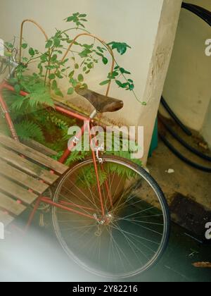 Vecchia bicicletta rossa con un cesto appoggiato su un muro sbiadito, parzialmente coperto da piante verdi a foglia. Foto Stock