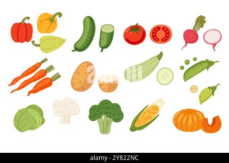 Grande collezione di verdure fresche. Prodotti agricoli, raccolto. Alimenti biologici freschi e maturi. Illustrazione vettoriale isolata su sfondo bianco. Illustrazione Vettoriale