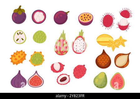 Raccolta di frutta esotica tropicale con mangostano, frutta di drago e molto altro. Cibo sano maturo. Illustrazione vettoriale isolata su sfondo bianco. Illustrazione Vettoriale
