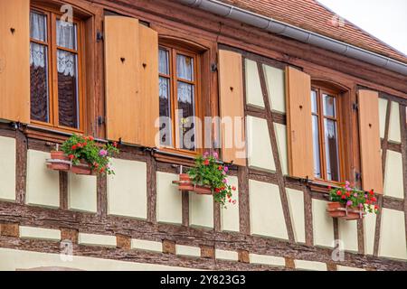 Case a graticcio costruite tra il XVI e il XVII secolo nel centro di Dambach-la-Ville Foto Stock