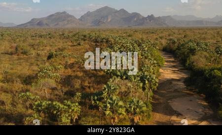 Fiume secco in un'oasi di fronte alle montagne di Boya, le montagne di Boya, Imatong, Sudan del Sud Foto Stock