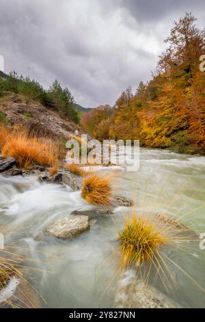 Orrido di Petraficha, Zuriza, valli occidentali, catena pirenaica, provincia di Huesca, Aragona, Spagna, Europa Foto Stock