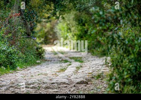 Via Bànyols, Alaró, Maiorca, Isole Baleari, Spagna Foto Stock