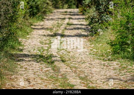 Via Bànyols, Alaró, Maiorca, Isole Baleari, Spagna Foto Stock