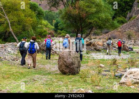 Un gruppo di escursionisti che camminano con i loro pali e zaini attraverso una valle boscosa e rocciosa. Foto Stock