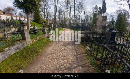 Un sentiero acciottolato che si snoda attraverso un vecchio cimitero con varie lapidi e recinzioni di ferro. Nella b sono visibili alberi senza foglie e fiori blu Foto Stock