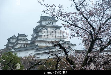 Castello di Himeji in primavera, Giappone. Heron bianco, fiori di ciliegio e cielo nuvoloso Foto Stock