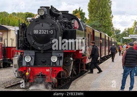 02.10.2024 Blick auf den Bahnsteig am Bahnhof West im Ostseebad Kühlungborn im Landkreis Mecklenburg-Vorpommern, wo gerade ein Zug für die Weiterfahrt nach Heiligendamm und Bad Doberan vorbereitet wird. Die Bahn ist die legendäre Bäderbahn molli, eine dampfbetriebene Schmalspurbahn. Ihre Spurweite beträgt 900 millimetri. Kühlungsborn Meclemburgo-Vorpommern Deutschland *** 02 10 2024 Vista del binario della stazione Ovest nella località balneare Baltica di Kühlungborn nel distretto di Meclemburgo-Vorpommern, dove è in corso la preparazione di un treno per il viaggio di andata a Heiligendamm e Bad Doberan Foto Stock