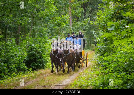 29. Moritzburger Teichrundfahrt Präsentations- und Streckenfahrt, alle Gespanne in stilvoller Anspannung, Breitensportliche Veranstaltung über ca. 30 km Eine Veranstaltung des Reit- und Fahrverein Moritzburg e.V. Moritzburg Sachsen Deutschland *** 29 Moritzburger Teichrundfahrt presentazione e percorso, tutte le carrozze in tensione elegante, popolare evento sportivo di circa 30 km un evento del Moritzburg Riding and Driving Club e V Moritzburg Sassonia Germania Foto Stock