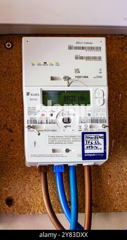 Primo piano di un contatore elettrico digitale montato su una tavola di legno che visualizza le letture e collegato con fili isolati Foto Stock