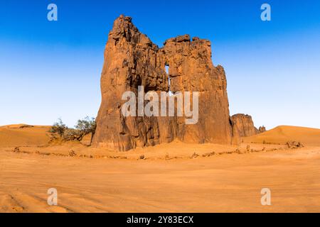 Incredibile formazione rocciosa con la famosa incisione rocciosa di una mucca che piange (la Vache qui Pleure) vicino a Djanet. Parco nazionale Tassili n’Ajjer, Algeria Foto Stock