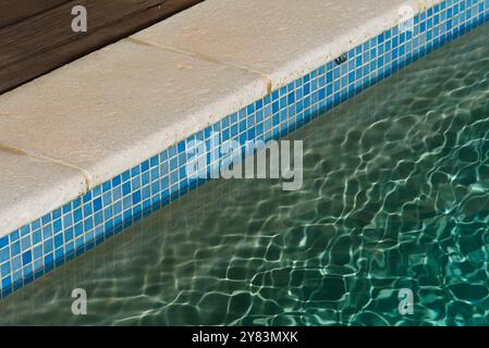 Piscina soleggiata con bordo bianco e piano in legno Foto Stock