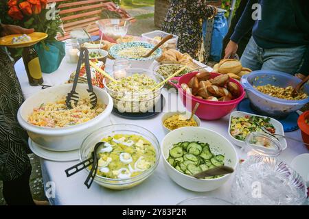 Varie insalate fatte in casa su un tavolo a una festa all'aperto con amici o familiari, buffet freddo in un evento informale, concentrazione selezionata, profondità ridotta Foto Stock