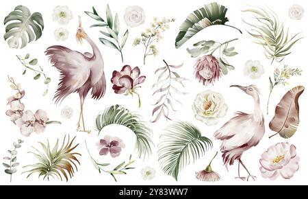 Illustrazione di foglie tropiche, fiori e uccelli ad acquerello Foto Stock