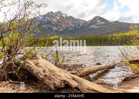 Incredibili vedute della natura al lago Pyramid nel Parco Nazionale di Jasper durante la primavera con una montagna unica sullo sfondo con una foresta boreale. Foto Stock