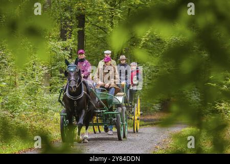 Presentazione e percorso, tutte le carrozze in tensione elegante, popolare evento sportivo di circa 30 km Un evento organizzato da Reit- und Fahrverein M. Foto Stock