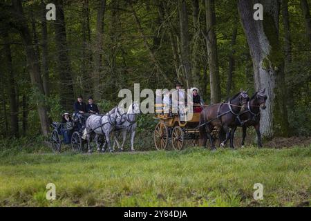 Presentazione e percorso, tutte le carrozze in tensione elegante, popolare evento sportivo di circa 30 km Un evento organizzato da Reit- und Fahrverein M. Foto Stock