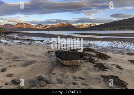 Fiordo, bassa marea, pietre, montagne, luce serale, atmosfera nuvolosa, Thingeyri, Westfjords, Islanda, Europa Foto Stock