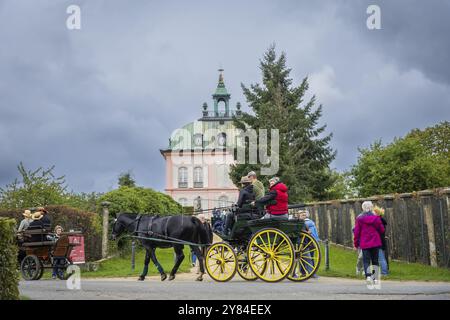 Presentazione e percorso, tutte le carrozze in tensione elegante, popolare evento sportivo di circa 30 km Un evento organizzato da Reit- und Fahrverein M. Foto Stock