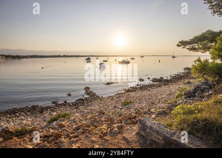 Paesaggio fotografato dal mare con la pineta sulla costa. Atmosfera mattutina all'alba in un paesaggio girato sull'isola di Vir, Zara, Dalmazia, Croa Foto Stock