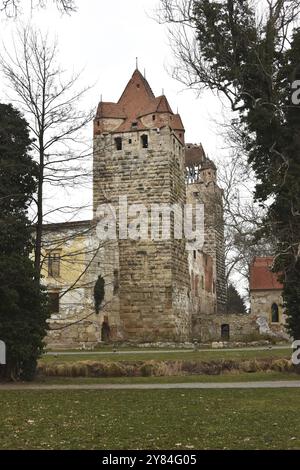 Rovine del castello di Pottendorf, Austria, Europa Foto Stock