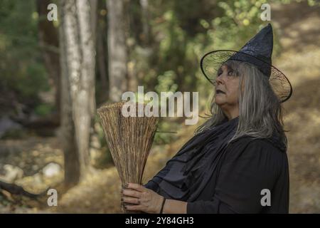 Vecchia strega in nero, vestita di nero, vista di profilo con la sua scopa con una foresta sullo sfondo Foto Stock