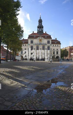 Bellissimo municipio barocco di Lueneburg in Germania - girato nel settembre 2015 Foto Stock