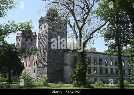 Rovine del castello di Pottendorf, Austria, Europa Foto Stock