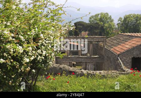 Pompei era un'antica città campana sul Golfo di Napoli, che come Ercolano, Stabia e Oplonti fu sepolta durante l'eruzione del Vesuvio Foto Stock
