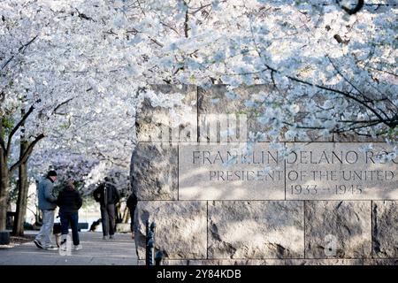 WASHINGTON DC - i fiori di ciliegio incorniciano le pareti di granito del Franklin Delano Roosevelt Memorial lungo il bacino delle maree. I ciliegi Yoshino in fiore sono una caratteristica centrale dell'annuale National Cherry Blossom Festival. Il memoriale onora Franklin D. Roosevelt, il 32° presidente degli Stati Uniti. Foto Stock