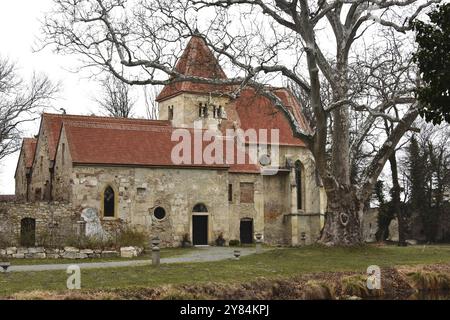 Rovine del castello di Pottendorf, Austria, Europa Foto Stock