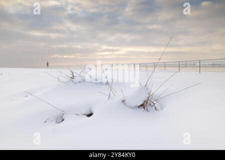 Ciuffi di erba ricoperti di neve e recinzione in un paesaggio invernale con cielo coperto, Hoernle lido, Costanza, Lago di Costanza, Baden-Wuerttemberg, Germa Foto Stock