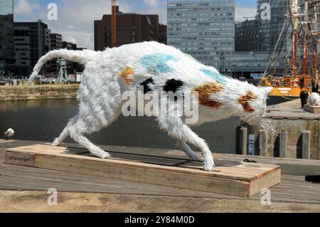 Statua del gatto nei moli di Liverpool, Inghilterra, Gran Bretagna, in Una splendida giornata estiva con alcune nuvole nel cielo Foto Stock